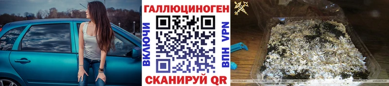 darknet наркотические препараты  Исилькуль  Галлюциногенные грибы Psilocybe 